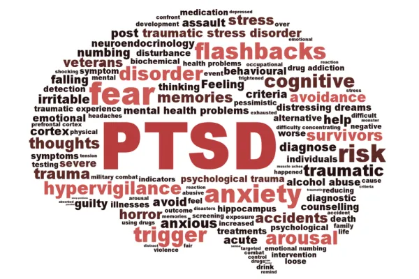 PTSD Brain